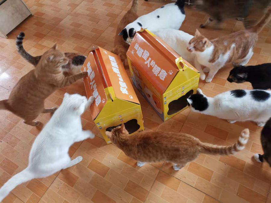 公益时报1.jpg